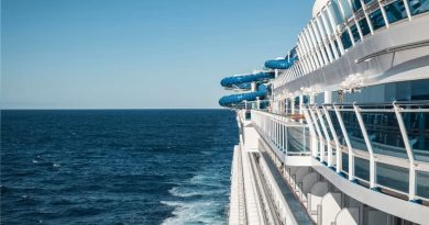 Muerte en altamar: OMS investiga brote de hantavirus tras fallecimiento de tres personas en crucero que partió de Argentina