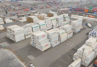 De la agroexportación a los autos importados: la estrategia de DP World Logistics para crecer